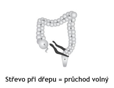 Squatty Position graphic